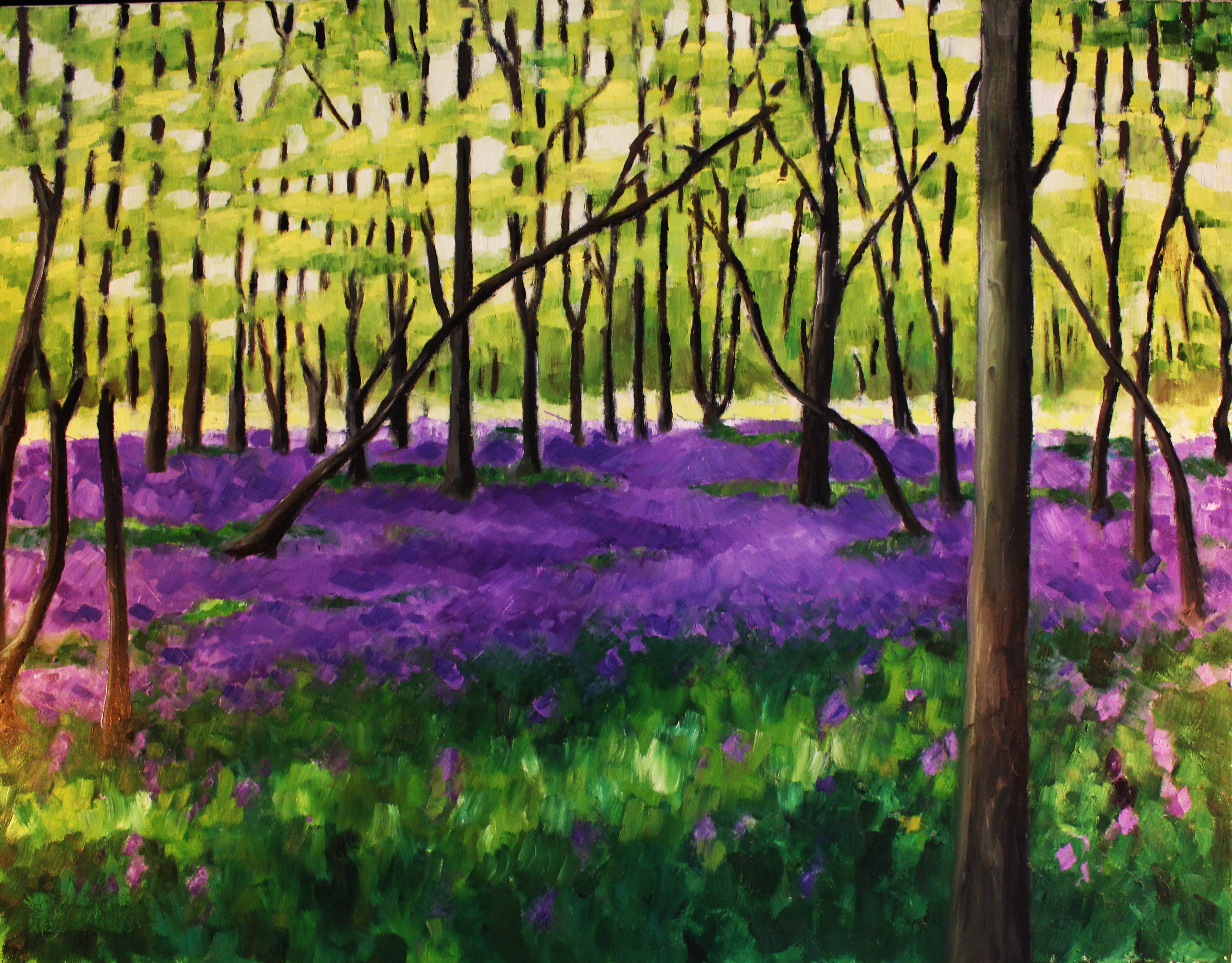 'Bluebell Walk, Arlington', 15