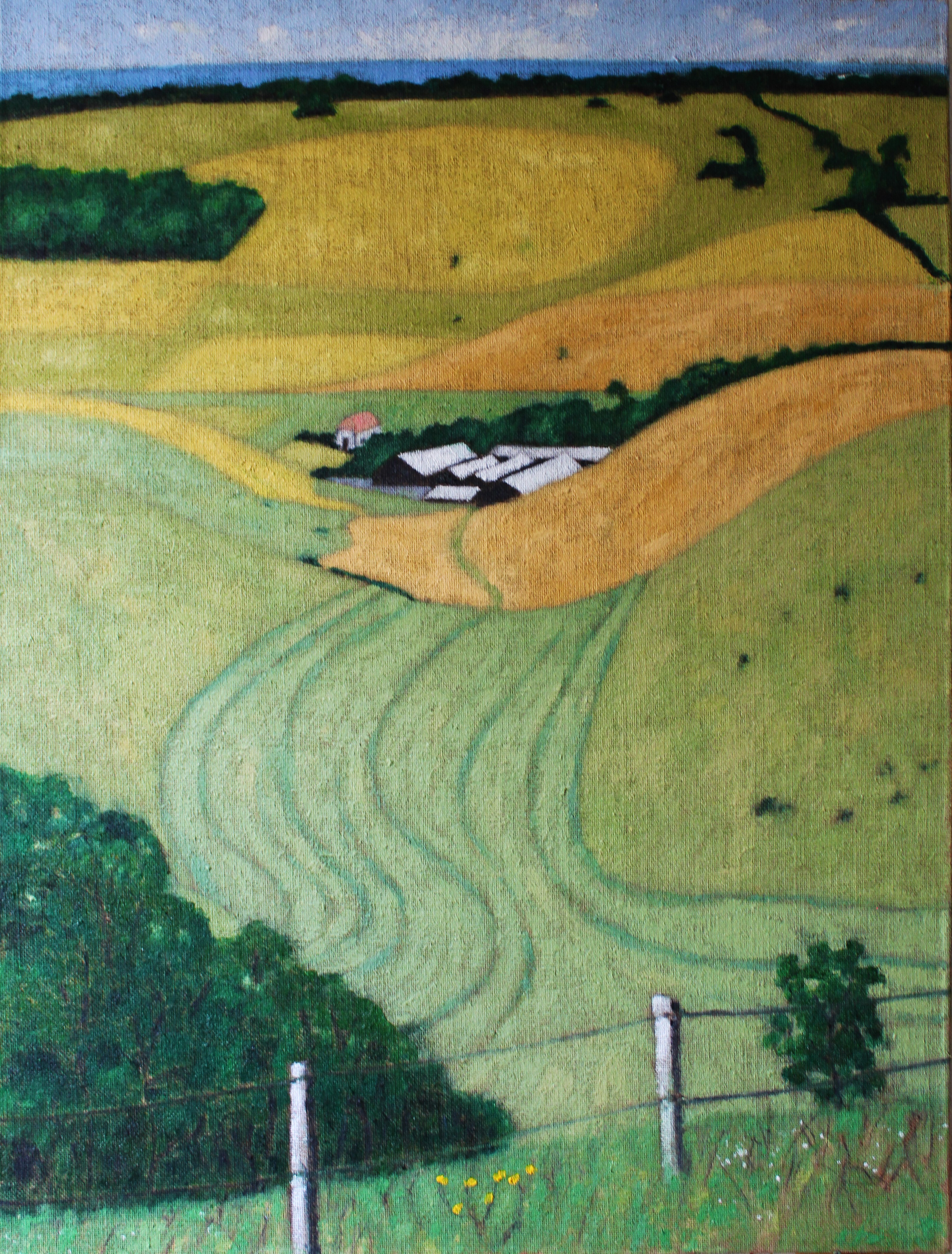 South Downs From Butts Brow