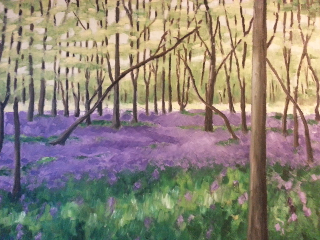 bluebell-woods